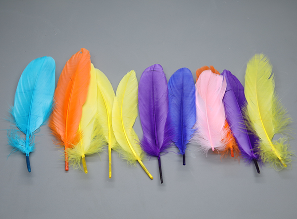 1741760564595493.png 圖片 2.png