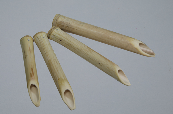 1741762611805520.png 圖片 23.png